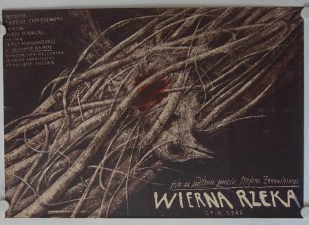 Wierna rzeka originales polnisches Filmplakat